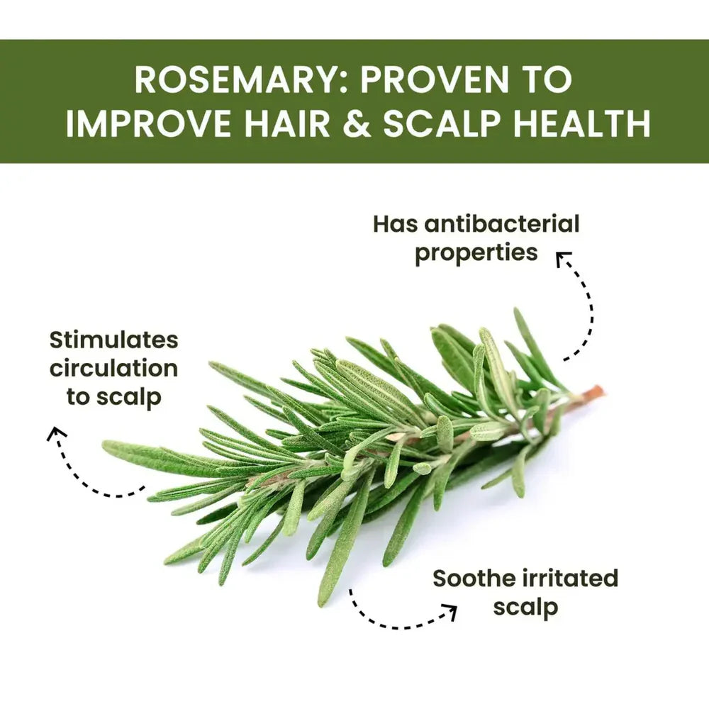 Rosemary Water Spray | For Hair Regrowth (Buy 1 Get 2 Free š)